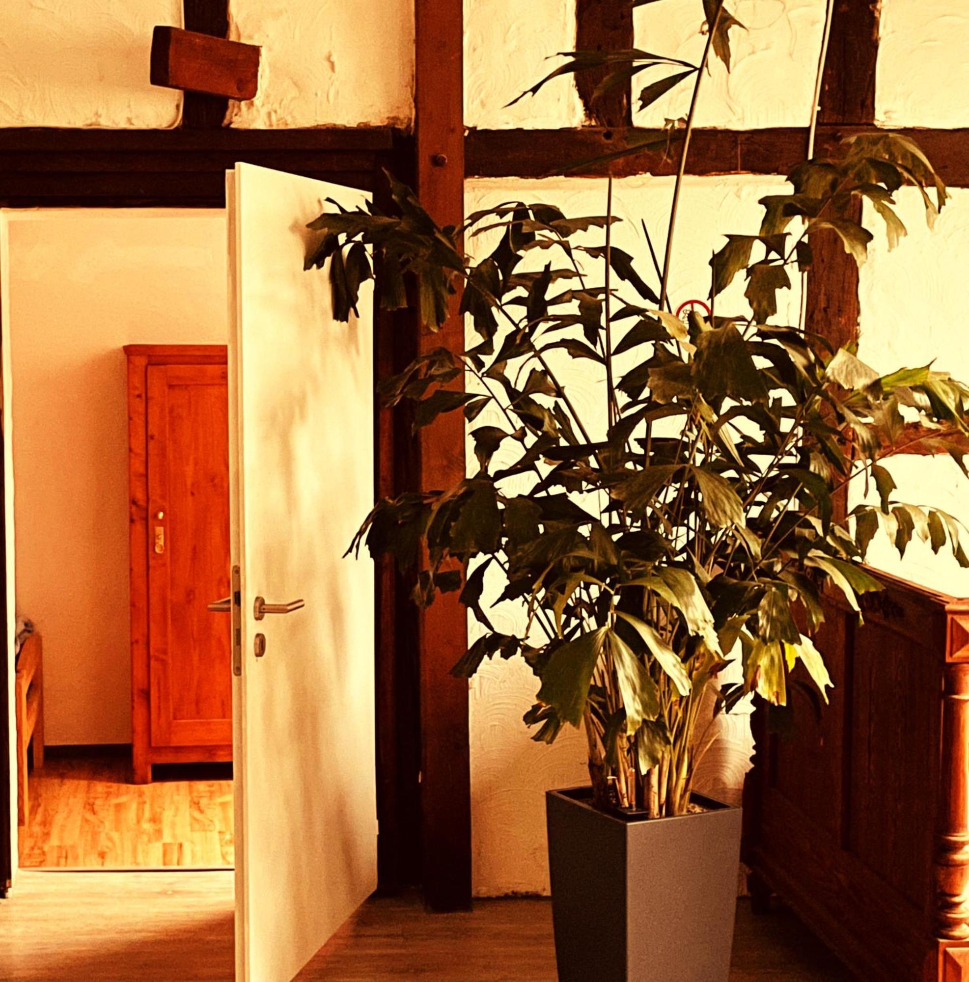 Cottage Huehnerstall Zulpich Kültér fotó